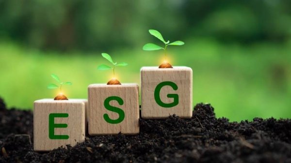 牛博 银行ESG信披：爬坡上行 痛点犹存