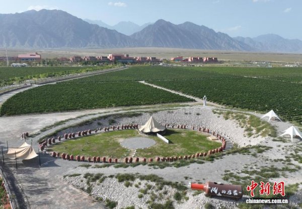 典丰投资 宁夏举办首届葡萄酒风土文化双年展